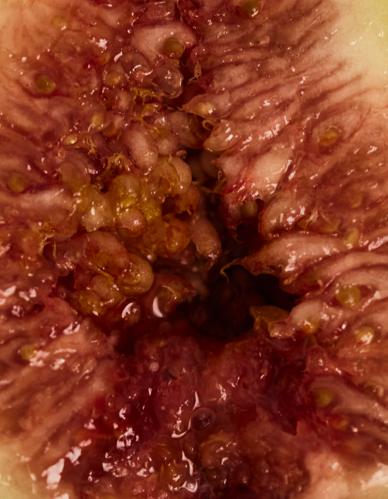 Retrato de las creadoras en su estudio con piezas escultóricas