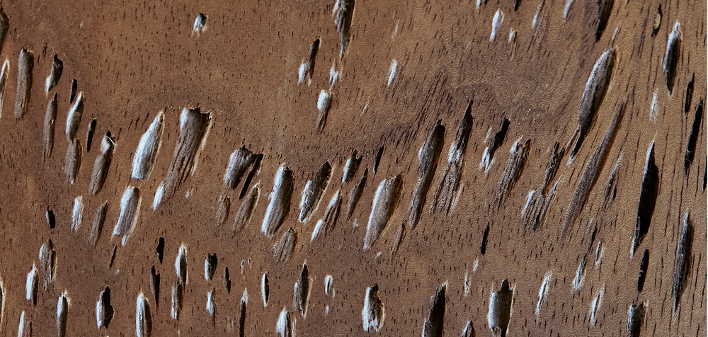 Retrato de las creadoras en su estudio con piezas escultóricas