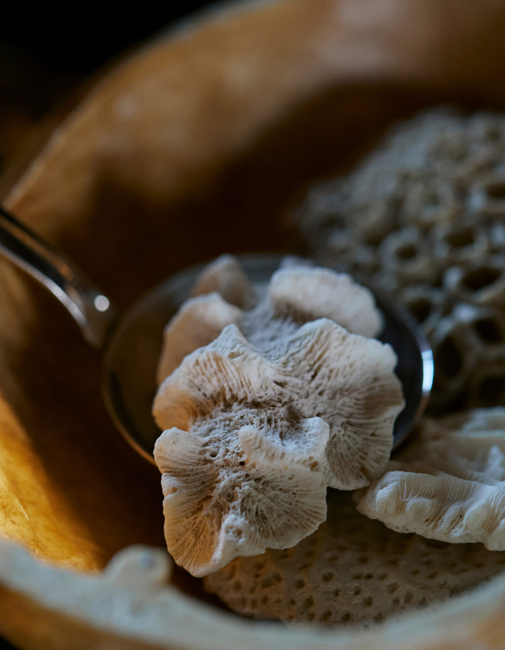 Retrato de las creadoras en su estudio con piezas escultóricas